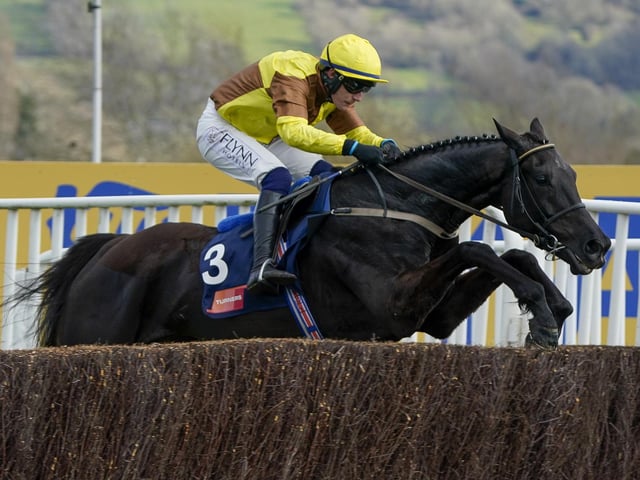 There's a short-priced favourite not only for the Champion Hurdle, but also for the Boodles Cheltenham Gold Cup on Friday (3.30). GALOPIN DES CHAMPS, trained by Willie Mullins, fell at the last when clear in a novice chase at last year's festival, but that was a rare blot on the copybook of a 7yo brimming with talent. Doubts about his stamina over the 3m2f Gold Cup trip have been pooh-poohed by a confident Mullins.