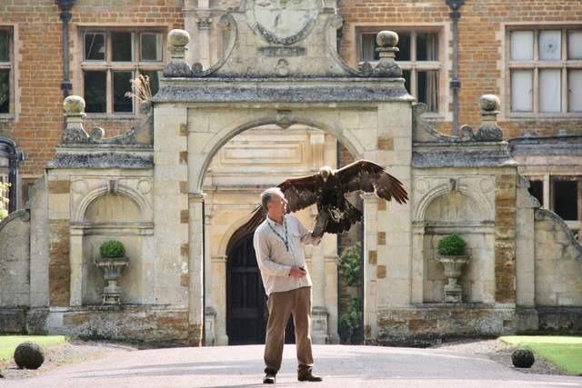The Icarus Falconry, located at Holdenby House, provides bird of prey experiences, demonstrations and displays.
The centre is the home to many species of birds of prey, including some whose wild counterparts are critically endangered. The experiences available are ‘hawk and owl’, ‘falconry premier’, and ‘eagle and vulture’.