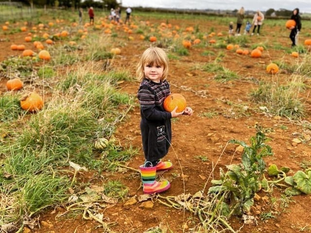 The Sunshine Farm pumpkin patch in Brixworth is open on October 8, 9, 15, 16, 22 and 23 from 10am to 4pm. Children can pick their own pumpkin from the patch, pay a visit to the animals at the petting farm and play in their outdoor games area before leaving with their very own goody bag. Entry is free.