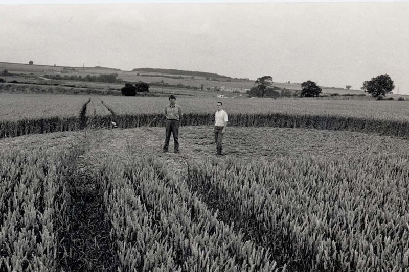 Farmer Richard Sumner with Gary Rose, a member of the National Cropwatch Register, inside a crop circle at South View Farm between Wellingborough and Irthlingborough on July 22, 1991
