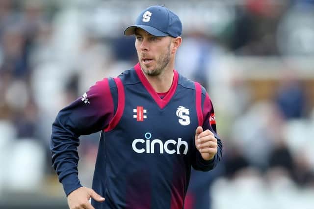 Chris Lynn enjoyed an outstanding first season in Steelbacks colours