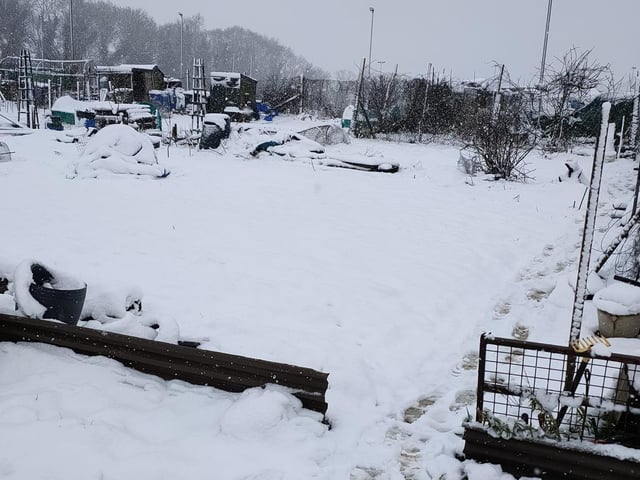 Duncan Bain's allotment in Kettering - the potatoes will have to wait before they're planted!