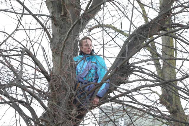Barrister Paul Powlesland climbed into the branches of one of the trees to prevent the felling of the Wellingborough Walks trees