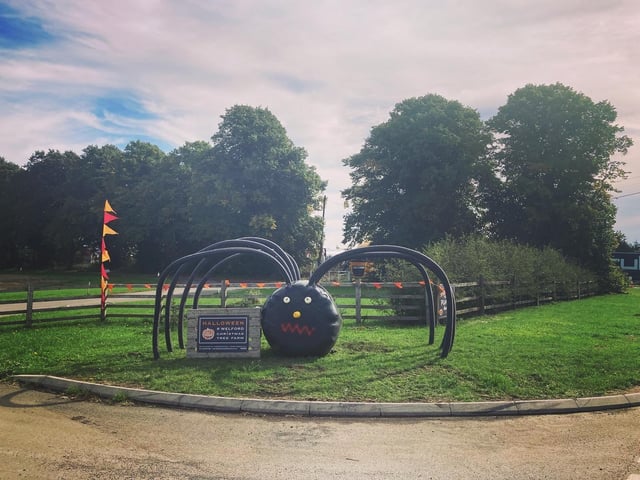 A nice and relaxing day out with a spooky twist for all of the family to enjoy at Welford Christmas Tree Farm. Running from the October 22 to October 31 from 10am until 5pm. Due to the sell-out year last year and it being such a massive hit to all age groups, tickets are now on sale from £6.50 per child and £2.50 per adult, which include a pumpkin hunt map activity sheet and a small token prize for completing the hunt. Tickets can be purchased here https://www.welfordchristmastreefarm.co.uk/.