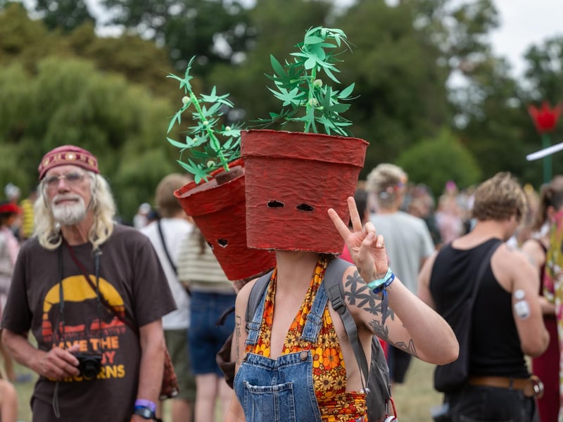 Festival goers taking part in the annual Shambala Carnival. This year’s theme was ‘Pun Intended'. Photo by David Jackson.