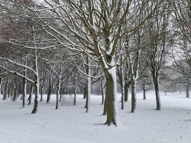 Eastfield Park looking stunning! Picture by Karen Steel