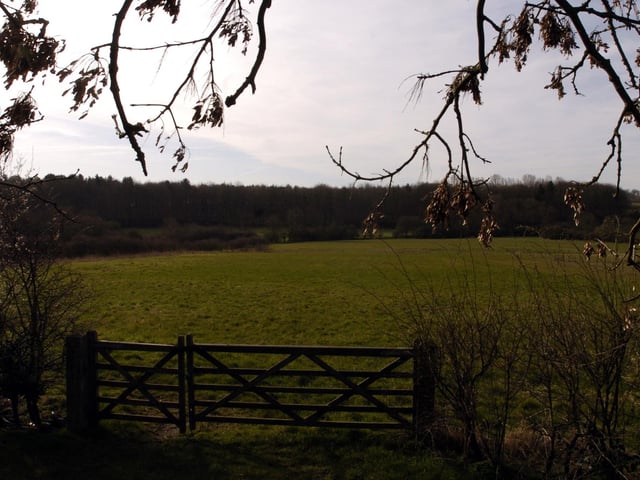 Weekley Hall Wood in Kettering is a wonderful place to go for a stroll.