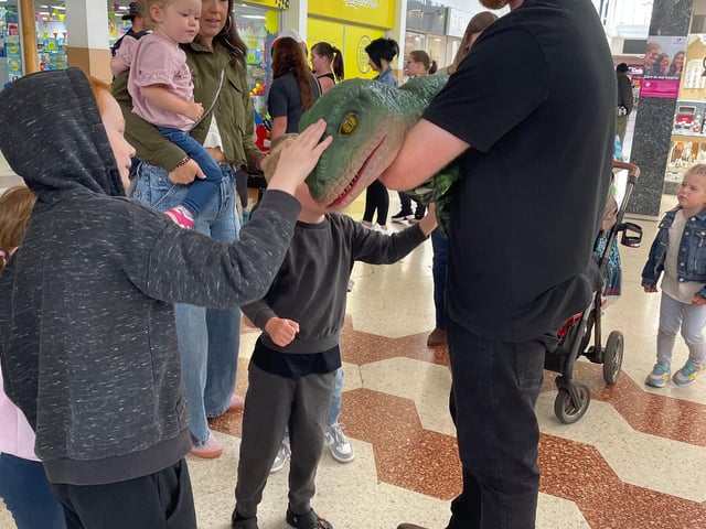 Baby Dinosaur