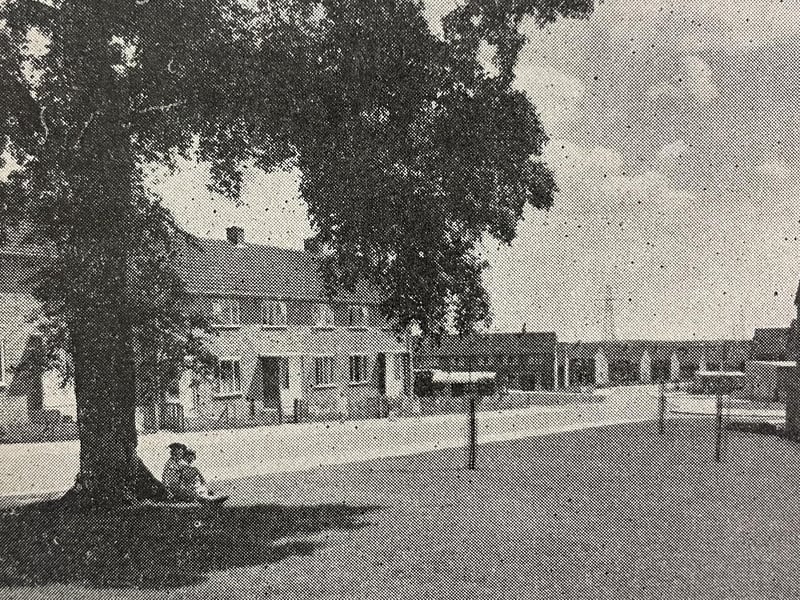 Constable Road was one of the first New Town areas to be on the Hazel Leys estate in the 1950s.