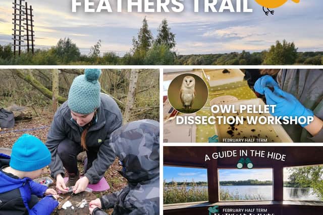 Stanwick Lakes is holding a number of bird-themed events during the February half-term