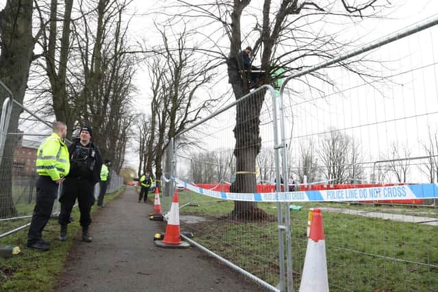 Work was halted for another day after a protester sat in a tree