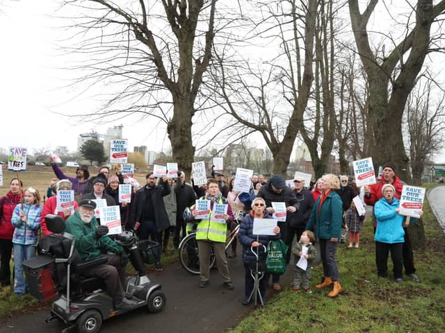 Wellingborough Walks Action Group will gather under the trees in London Road to mark a year of campaigning to save the trees in Wellingborough Walks/National World