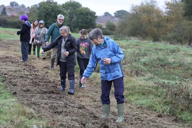 Volunteers sowing the seed in the prepared beds in the Ise Valley, Kettering