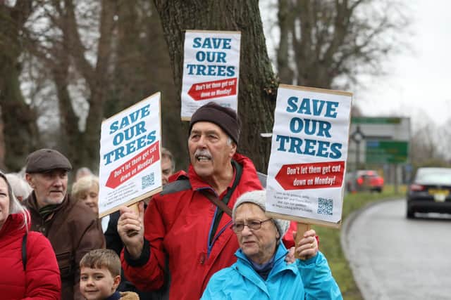 The felling of the trees gave rise to weeks of protests