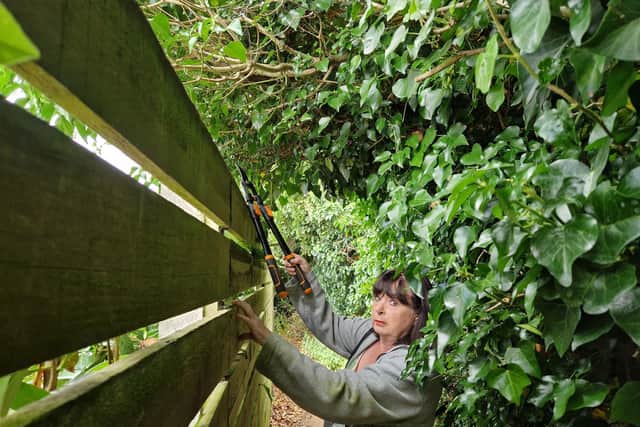 Suzanne Peacock wants the council to clear greenery which is encroaching onto her house.