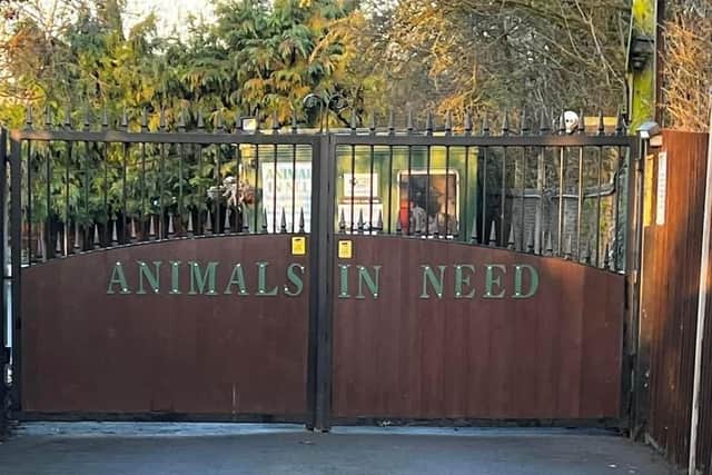 Animals In Need in Little Irchester