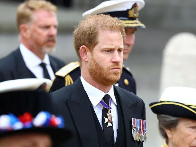 Prince Harry, the Duke of Sussex