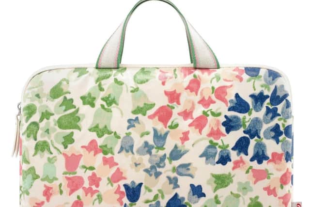The stolen laptop was in this bag