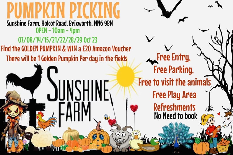 The Brixworth farm is open for pumpkin picking on every weekend in October. 
A golden pumpkin will be hidden in the field every day. Whoever finds the pumpkin will win a £20 Amazon voucher.
The pumpkin patch has free entry, free parking, a free play area and a free animal viewing area.