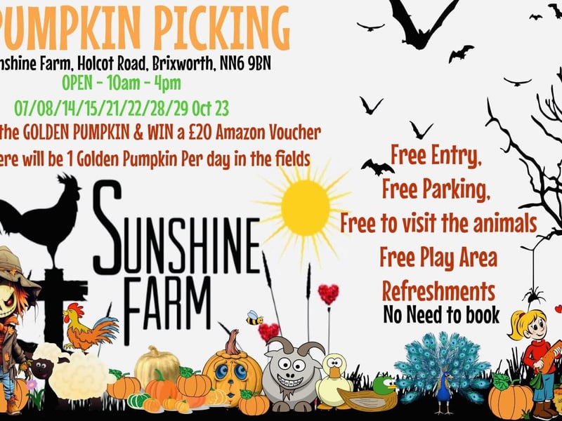 The Brixworth farm is open for pumpkin picking on every weekend in October.
A golden pumpkin will be hidden in the field every day. Whoever finds the pumpkin will win a £20 Amazon voucher.
The pumpkin patch has free entry, free parking, a free play area and a free animal viewing area.