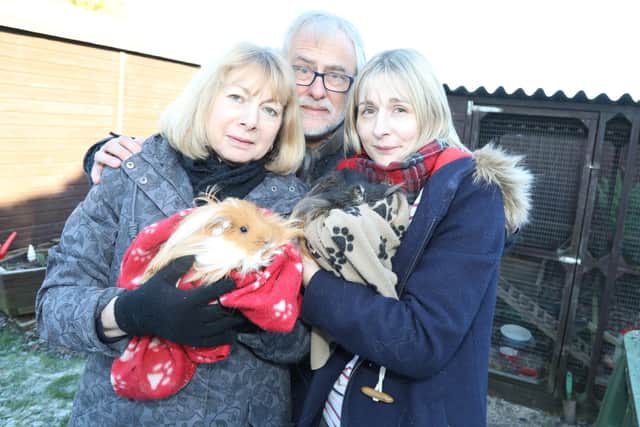 Lynne, Stuart and Bex Wildman with Tofolo and Jane the guinea pigs