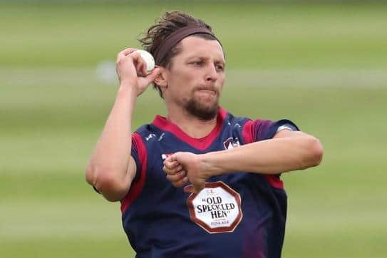 Jack White claimed one for five on his T20 debut for the Steelbacks