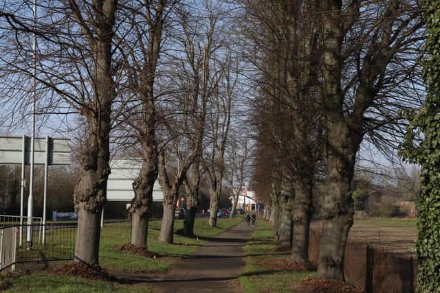 The Walks in London Road, Wellingborough