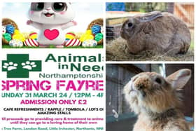 Animals In Need is holding its spring fair on Sunday, March 31