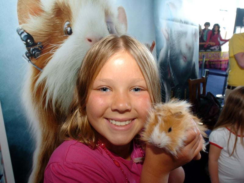 Kettering, Odeon, G-Force moviegoers meet guinea pigs Emily Bridgeford, 9, with one of the Pets At Home  guinea pigs.  Friday, 31 July 2009  : Retro special from the archive of the Odeon, Kettering