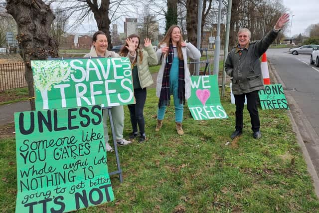 Campaigners wave to motorists