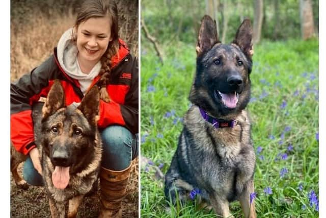 Duke joins the team with Handler Emily Cockerill
