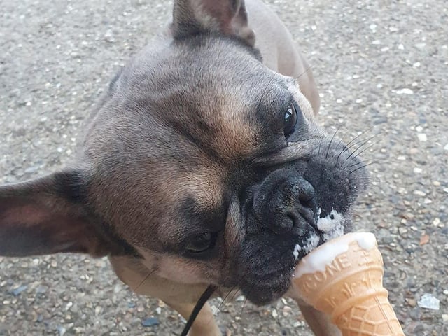 "Mylo loving icecream"