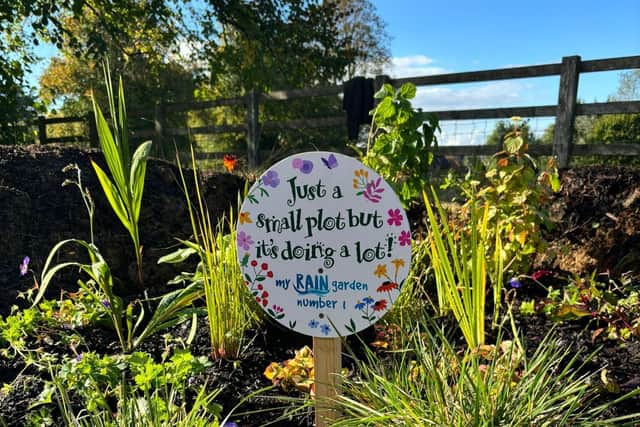 The very first RAIN Garden, planted by the project team