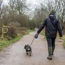 The Wildlife Trust is urging Northants dog owners to keep their pets on leads at county sites (Credit: Holly Wilkinson)