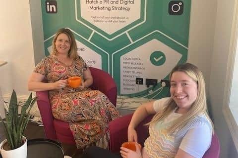 The Turtle Academy has been launched by the team at PR and marketing company Pilkington Communications