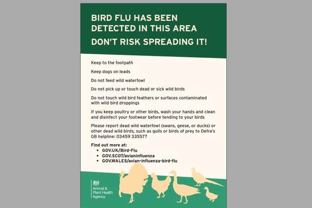 Bird Flu has been detected in this area - poster