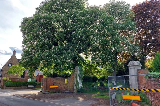 An application has been submitted to fell the horse chestnut tree fronting onto the High Street in Earls Barton to repair the wall in front of it