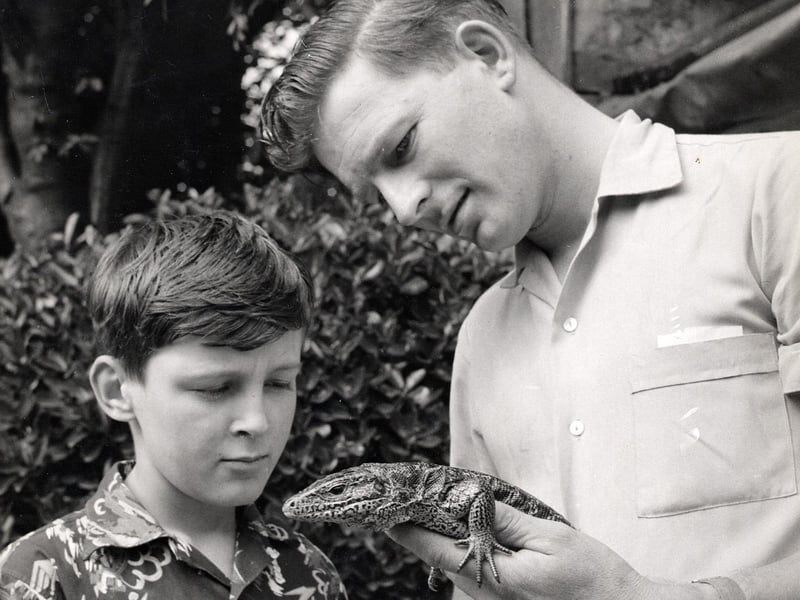 Reptiles arrived at the park in the 1960s