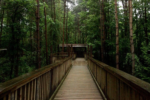 Salcey Forest in 2008