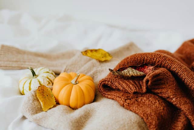 Get in the cosy autumnal or spooky season spirit!