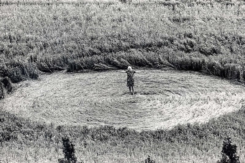 Jane Dalton sizes up a crop circle near Corby on July 1, 1991.
