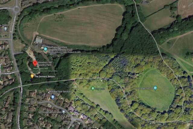 The dog bite incident happened in Hunsbury Hill Country Park.