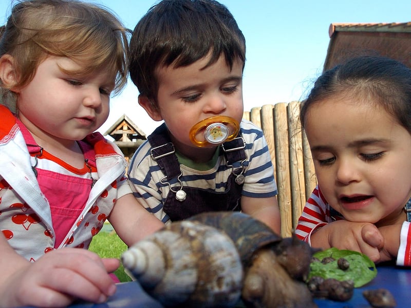 In 2008, Pen Green had to look for new homes for 200 babies after a giant African snail has given birth. From left are Olivia McKinnon, two, Tarik Kennedy, one and Yazmin Kennedy, three