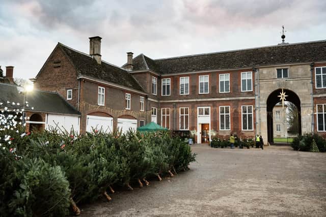 The Christmas tree event starts this weekend at Boughton House near Kettering