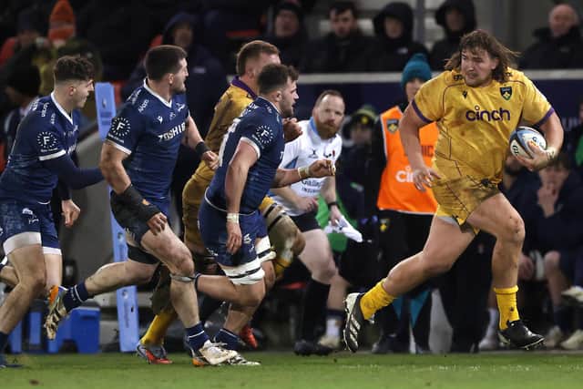JJ van der Mescht has been a big hit at Saints (photo by David Rogers/Getty Images)