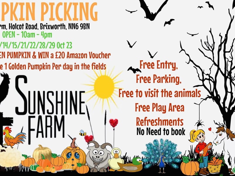 The Brixworth farm is open for pumpkin picking on every weekend in October.
A golden pumpkin will be hidden in the field every day. Whoever finds the pumpkin will win a £20 Amazon voucher.
The pumpkin patch has free entry, free parking, a free play area and a free animal viewing area.