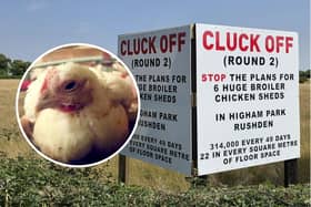 A chicken in a broiler unit - file picture/ SWNS/ The sign in Avenue Road, Rushden protesting the plans/IMG
