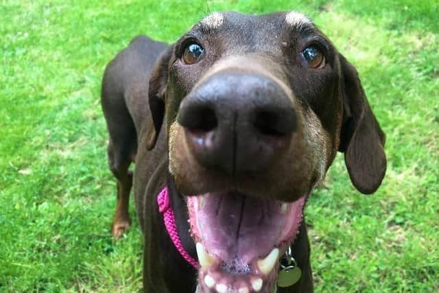 11-year-old Wendy.