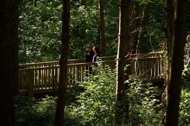Salcey Forest Tree Top Walkway in 2008
