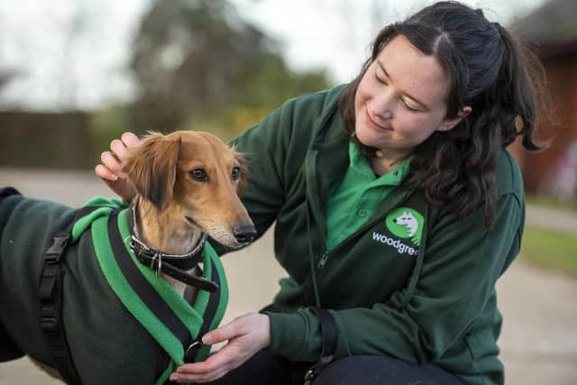 Pets don’t care how much money we spend on them and investing more doesn’t necessarily make someone a better pet owner